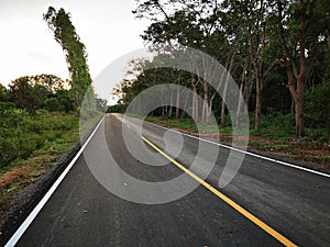 A new asphalt road