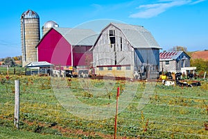 New Barn and Old Barn on a Wisconsin Farm