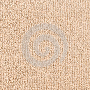 New beige carpet texture