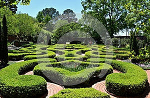 New Bern, NC: 1770 Tryon Palace Knot Garden