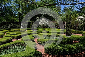 New Bern, NC: 1770 Tryon Palace Knot Garden