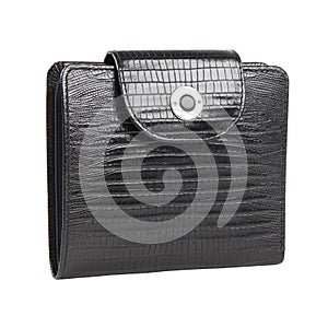 New black wallet of reptile skin leather isolated