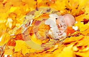 New Born Autumn Baby Sleeping, Newborn Kid Fall Yellow Leaves