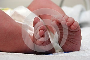 New born baby feet