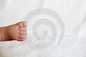 New Born Baby Feet