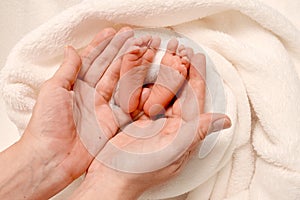 New-born baby feet in moms hand.