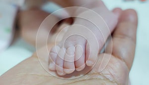 New born baby foot in mother hand