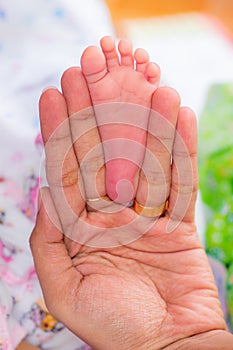 New born baby girls feet fit inside mothers fingers, three weeks old infant, pink small fingers, close up photograph. Mothers