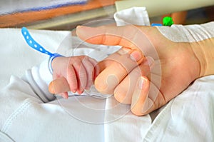 New born baby hand