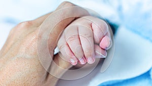 New born baby hand holding mother's thumb