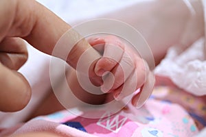 New born baby hold mom`s finger