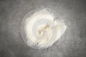 New born or baby portrait photography backdrop white fur,  cement texture