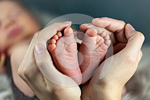 New born baby`s feet in mother hands - hearth shape