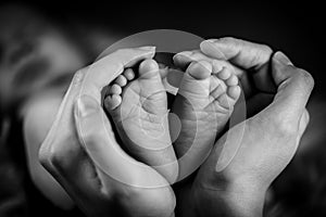 New born baby`s feet in mother hands - hearth shape