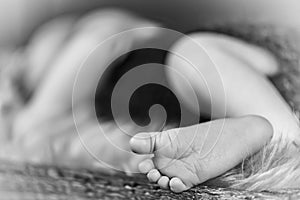 New born baby`s foot, sleeping baby in the background - black and white