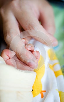 New born baby's hand