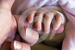 New born baby's hand