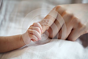 New Born Baby's Hand Gripping Mother Finger