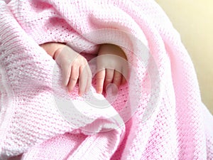 New born baby`s hands in pink blanket