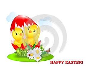 New born at Easter time, cdr vector