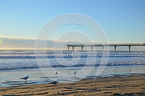 People surfing a New brighton beach during sunrise time.