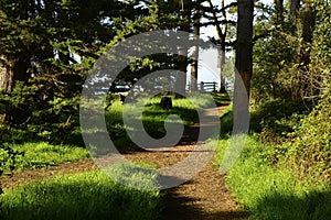 New Brighton State Beach and Campground, Capitola, California