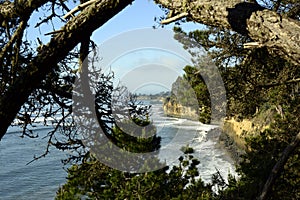 New Brighton State Beach and Campground, Capitola, California