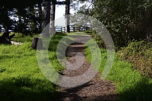 New Brighton State Beach and Campground, Capitola, California