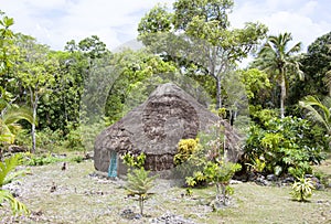 New Caledonia`s Traditional Hut