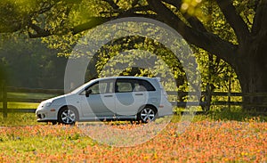 New car in meadow of red flowers