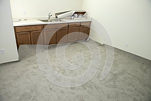 New Carpet, Carpeting, Home Remodel photo