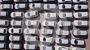 New cars covered in protective white sheets parked in a holding platform.