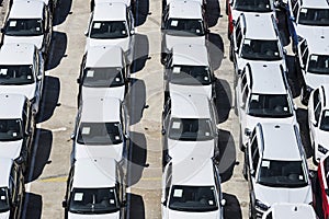 New cars ready to ship in the port of Barcelona