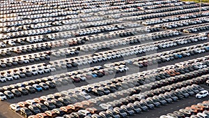 New cars stand in even rows in a gigantic parking lot.