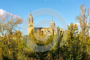 New Cathedral of Salamanca (Catedral Nueva) and Catedral Vieja, Spain. photo