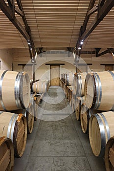 New Cellars full of Oak Barrels at Chateau d'Yquem, France