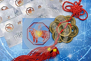 The new chinese year 2022 the year of tiger in blue and red tonality