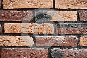 New colorful brick wall for texture or background