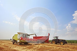 New combine harvester working in field