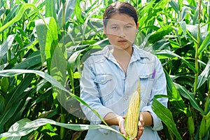 New corn yield in the hands of the farmers