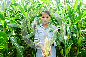 New corn yield in the hands of the farmers