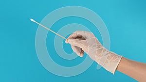 NEW.Cotton stick for swab test in hand with white medical gloves or latex glove on blue background