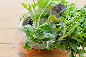 New crop of fresh organic mix salad leaves with mizuna, lettuce, pakchoi, tatsoi, kale, spinach and leaf mustard