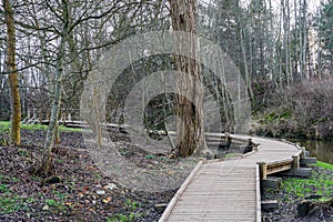 New curved wooden footpath for walk in nature park photo