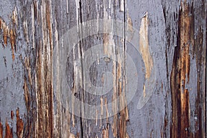 New dark vintage wood background texture