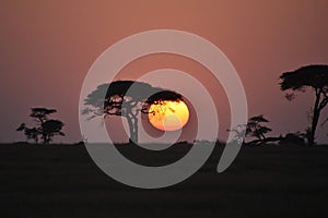 A new day begins at Serengeti, Tanzania