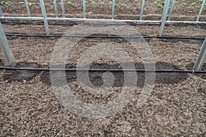 New drip irrigation system in greenhouse