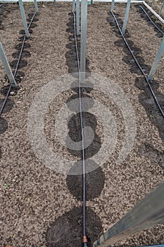 New drip irrigation system in greenhouse