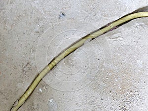 New electricity pipe in a concrete floor