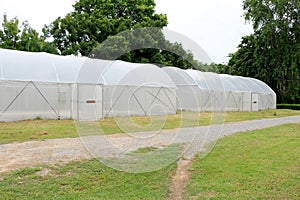 New empty greenhouse